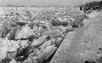Навалы льда на берегу реки Невы у мыловаренного завода во время подвижки льда 26 декабря 1935
